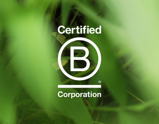 Cat’s Outta the Bag, We're a B Corp!